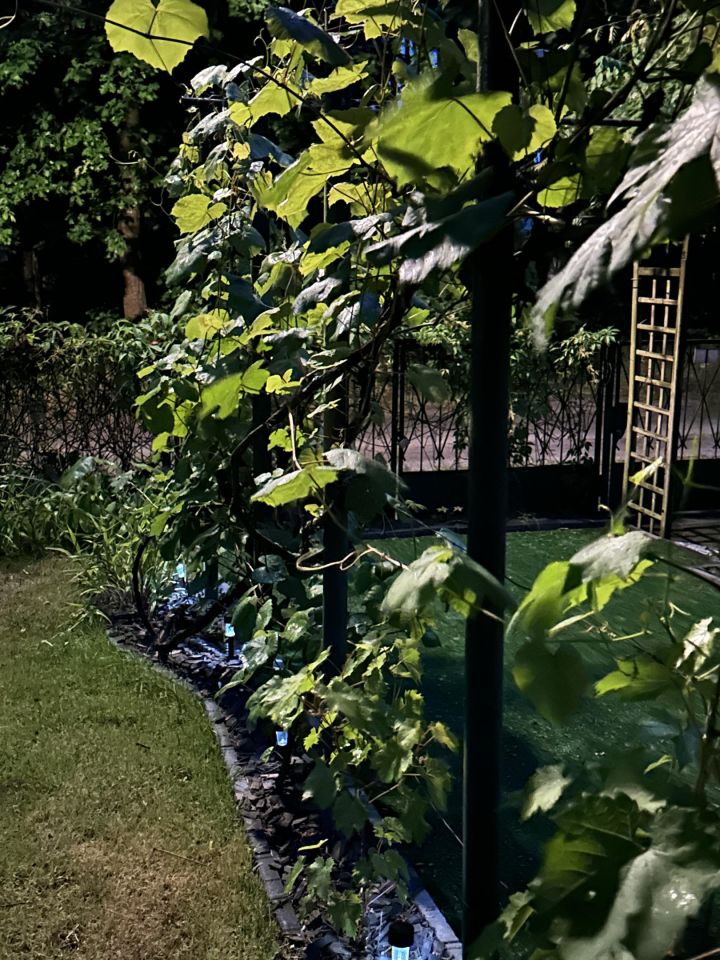 Działka rod Stefanowo, ul. Ułanów. Zdjęcie 13