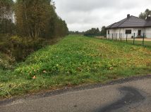 Działka budowlana Topolów, ul. Częstochowska. Zdjęcie 4