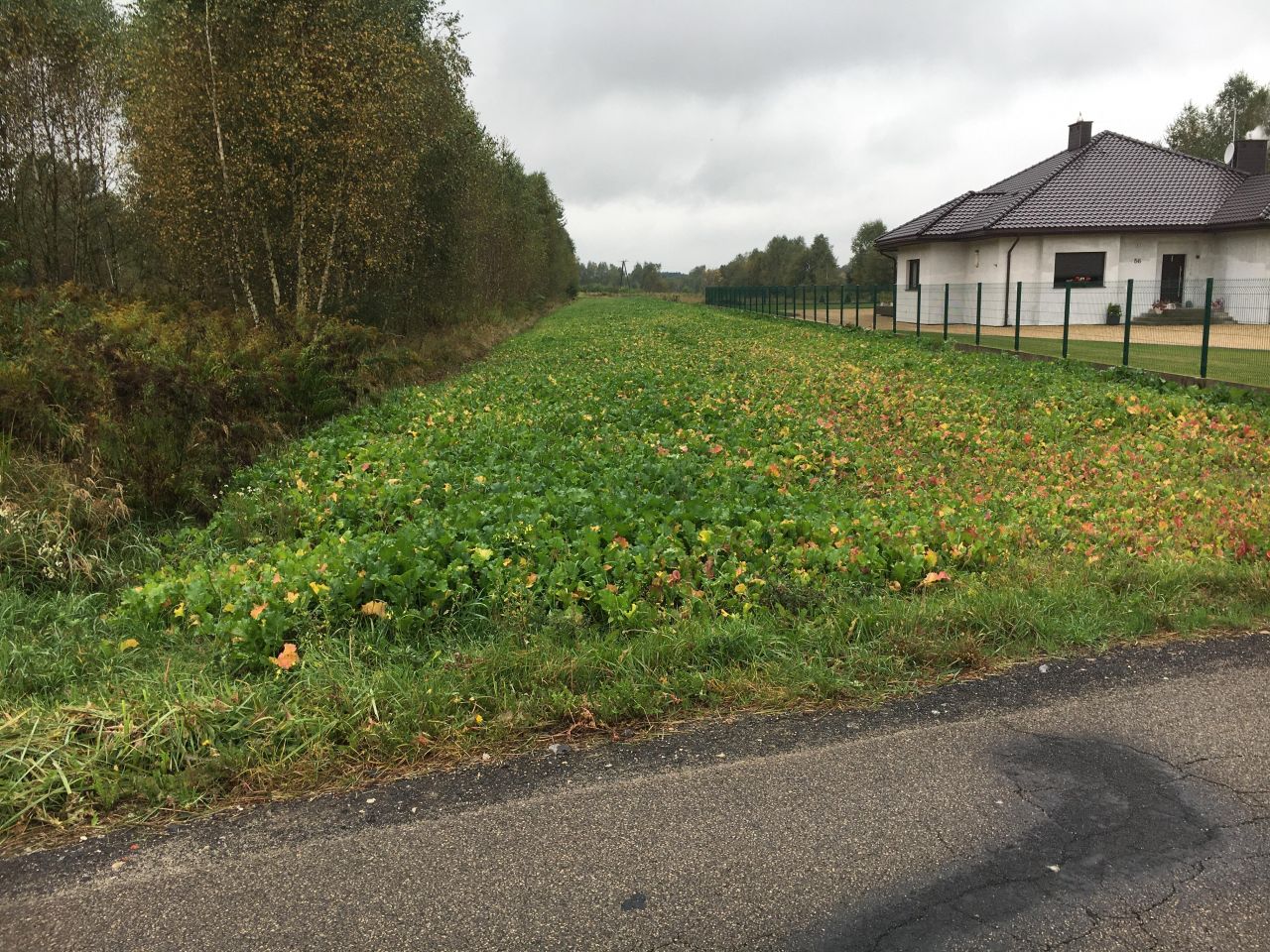 Działka budowlana Topolów, ul. Częstochowska. Zdjęcie 5