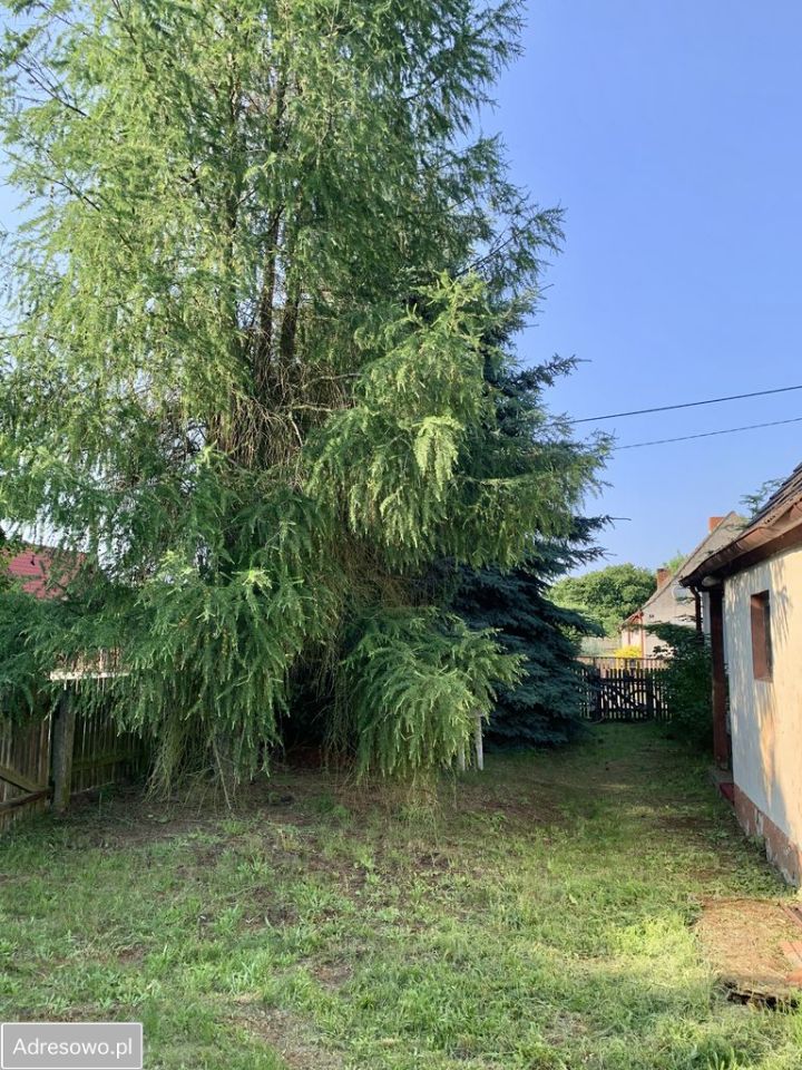 dom wolnostojący, 5 pokoi Cybinka, ul. Niecała. Zdjęcie 3