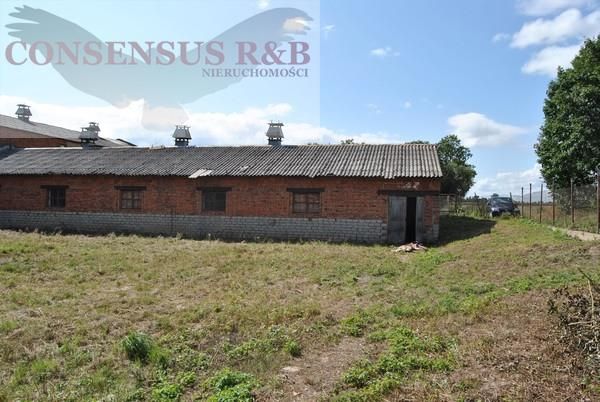 Hala/magazyn Prudnik. Zdjęcie 12