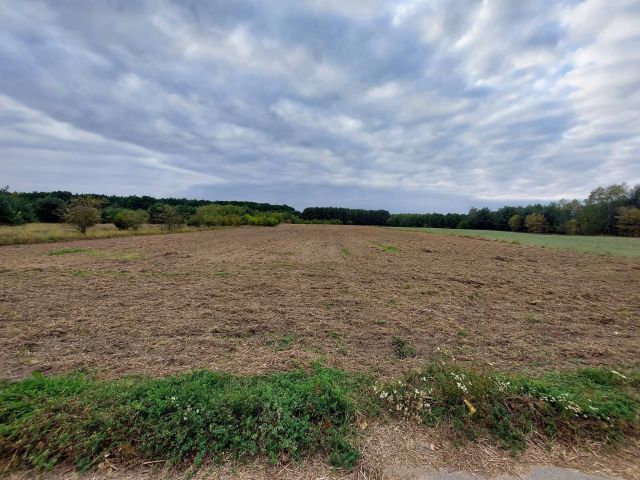 Działka budowlana Bydgoszcz, ul. Hipiczna. Zdjęcie 1