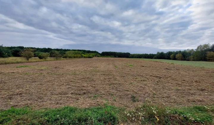 Działka budowlana Bydgoszcz, ul. Hipiczna