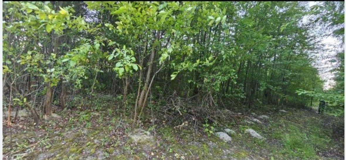 Działka budowlana Konstancin-Jeziorna. Zdjęcie 3