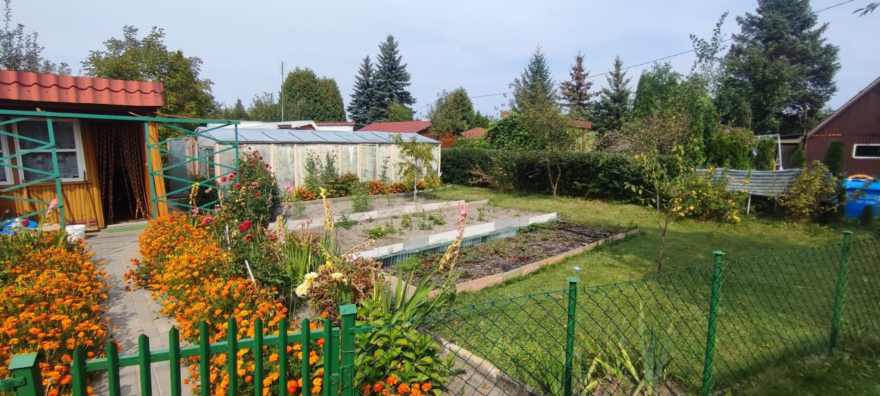 Działka rod Piotrków Trybunalski, ul. Brzeźnicka. Zdjęcie 5