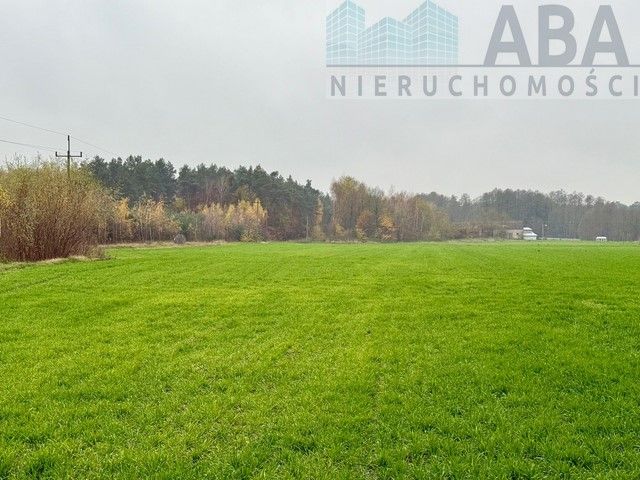 Działka inwestycyjna Wacławów. Zdjęcie 1