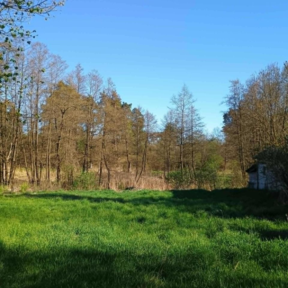 siedlisko Kozieniec. Zdjęcie 4