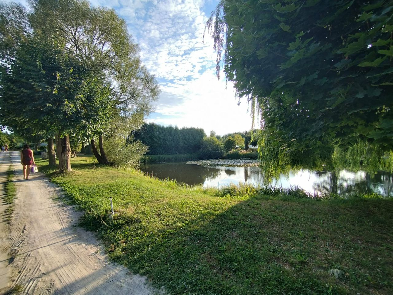 Działka rod Łask Kolumna, ul. Przedwiośnie 11. Zdjęcie 6
