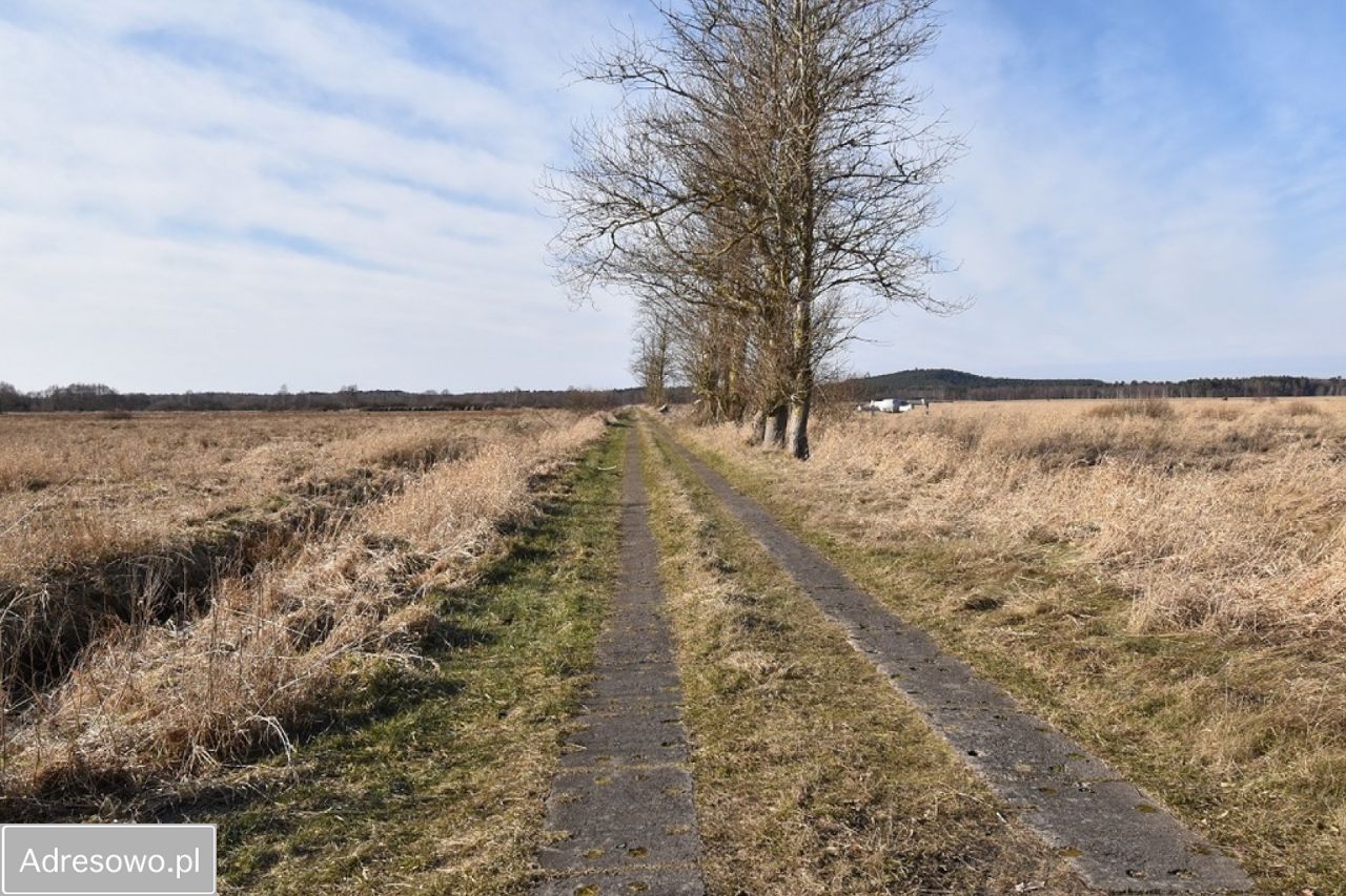 Działka budowlana Smołdziński Las. Zdjęcie 8