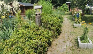 Działka rod Gniezno Centrum, ul. Polna