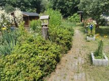 Działka rod Gniezno Centrum, ul. Polna. Zdjęcie 1