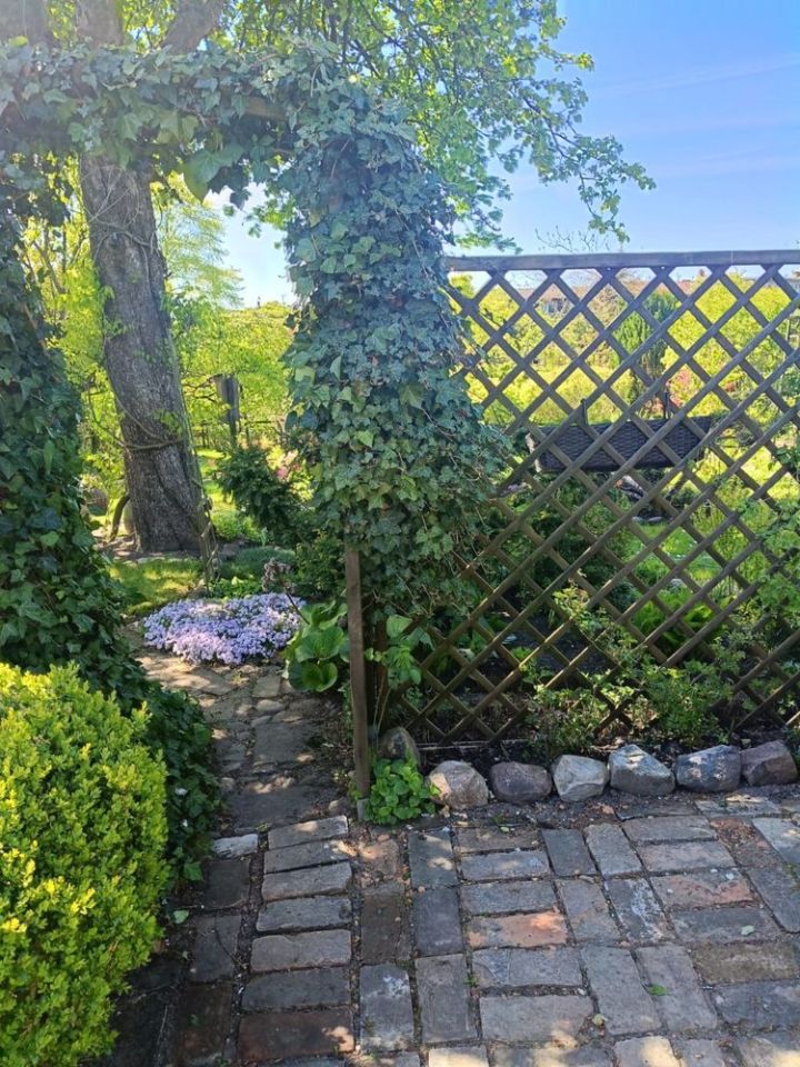 Działka rod Słupsk, ul. Gdańska. Zdjęcie 7