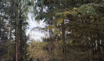 Działka rekreacyjna Warszawa Białołęka, ul. Kępa Tarchomińska