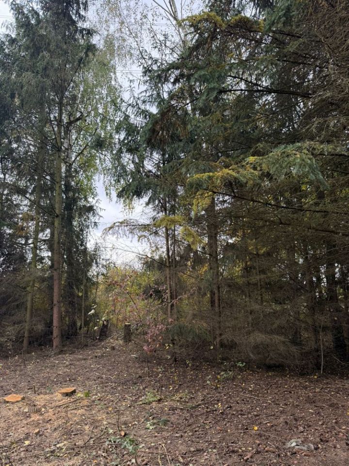 Działka rekreacyjna Warszawa Białołęka, ul. Kępa Tarchomińska