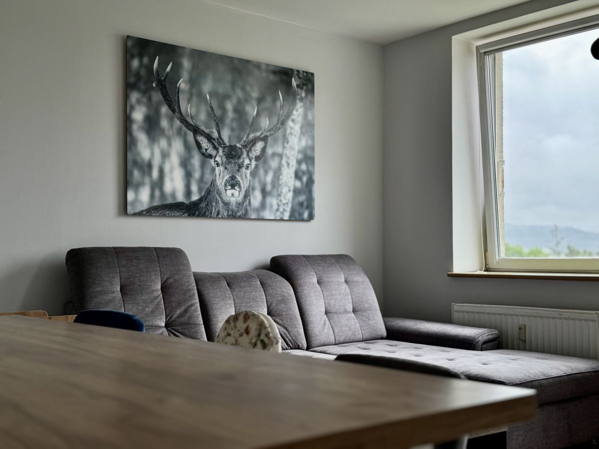 Mieszkanie 2-pokojowe Jelenia Góra, ul. Jana Sobieskiego. Zdjęcie 1