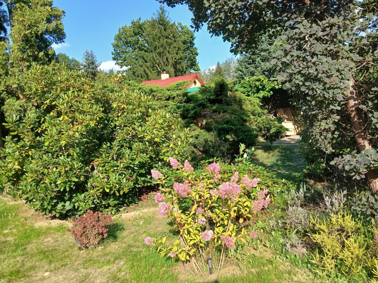 Działka rod Stefanowo, ul. Ułanów. Zdjęcie 11