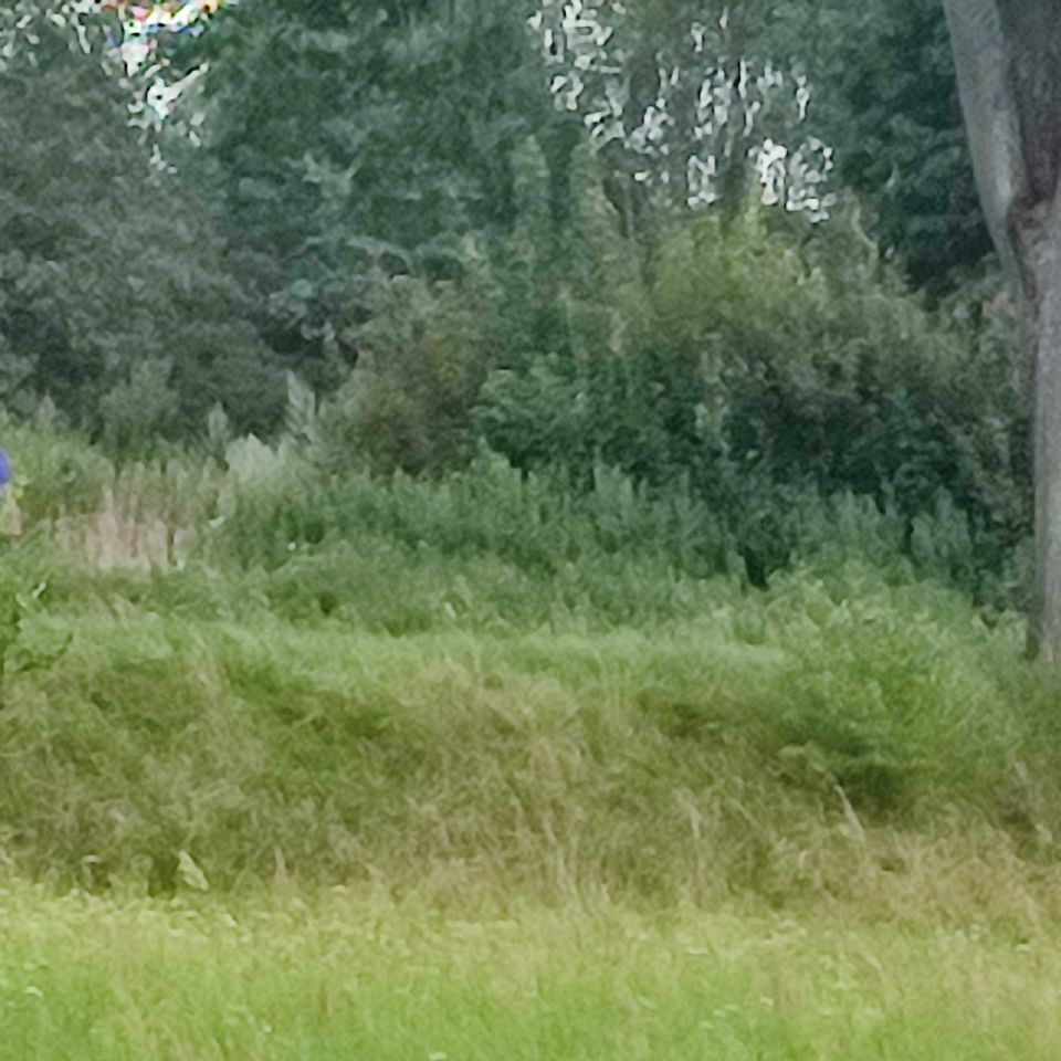 Działka rolna Rumy. Zdjęcie 3