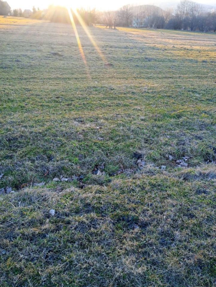 Działka budowlana Sowliny. Zdjęcie 5