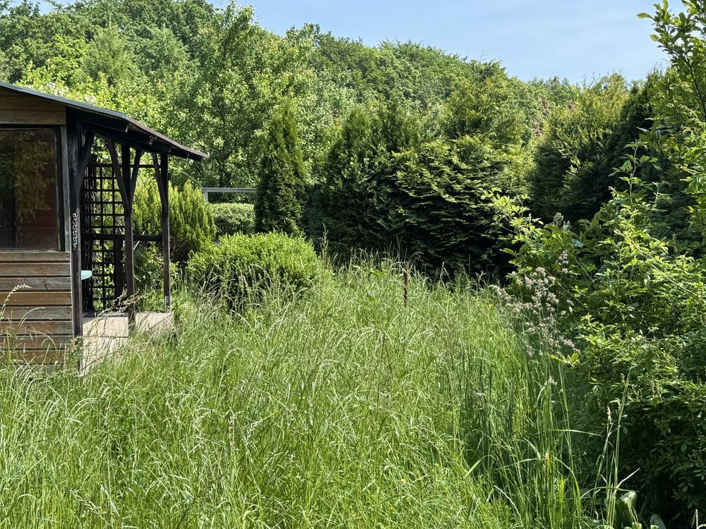 Działka rod Gdańsk Owczarnia. Zdjęcie 8