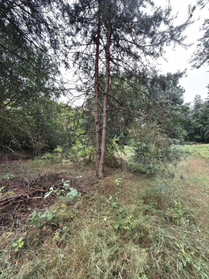 Działka budowlana Kozinki. Zdjęcie 3