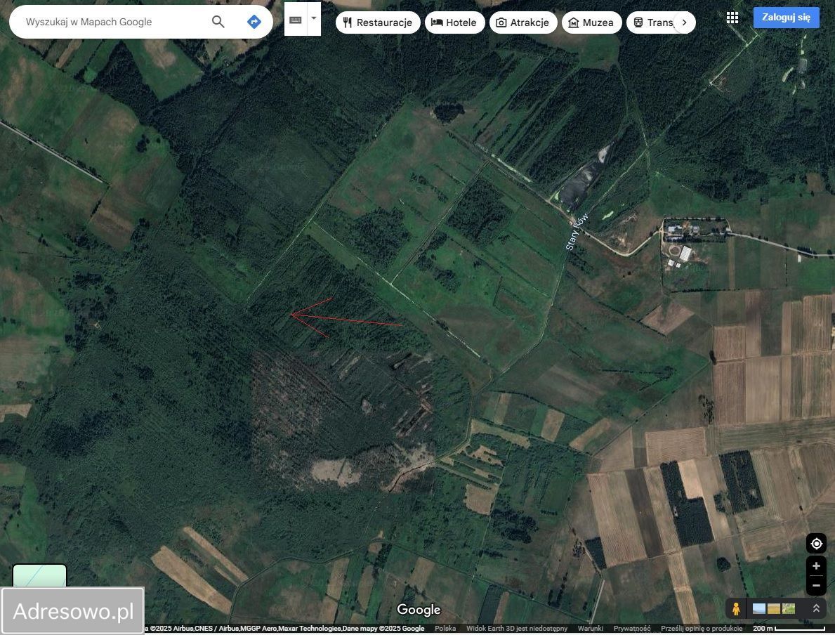 Działka leśna Podkrajewo. Zdjęcie 2