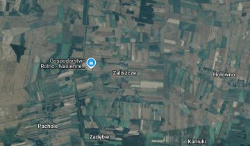 Działka rolna Zaliszcze