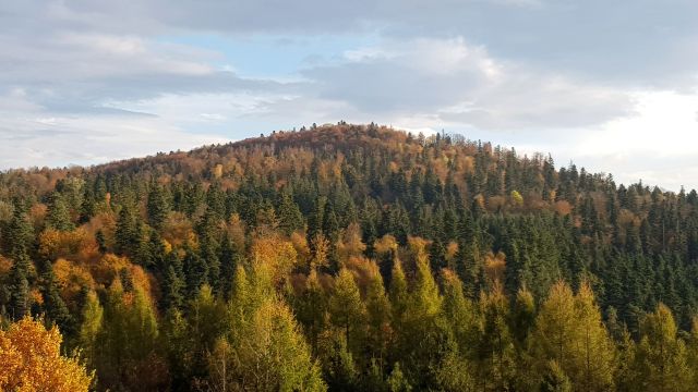 dom wolnostojący, 5 pokoi Lesko, ul. Słoneczna. Zdjęcie 15