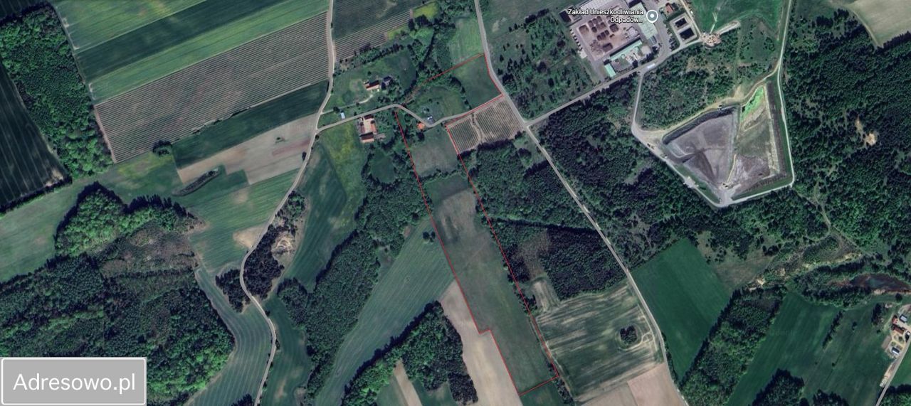 Działka siedliskowa Pobórze. Zdjęcie 3