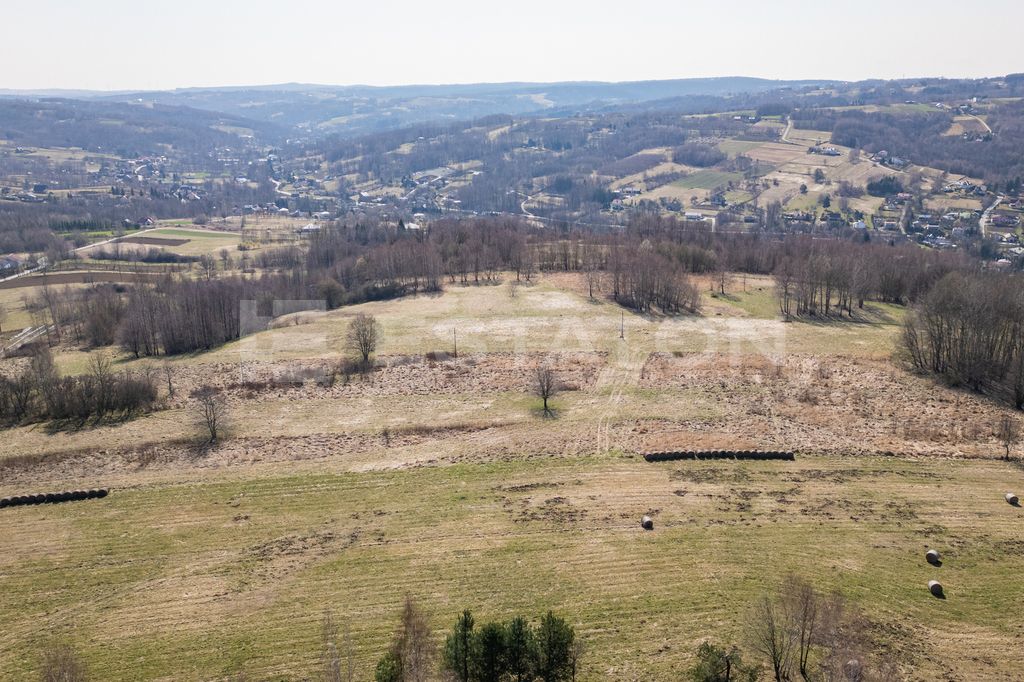 Działka Lubenia. Zdjęcie 2
