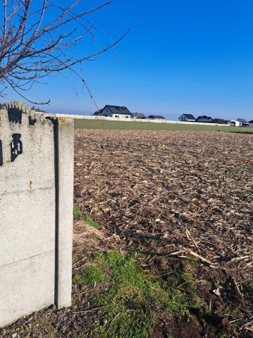 Działka budowlana Ociąż, ul. Zakrzewki. Zdjęcie 1