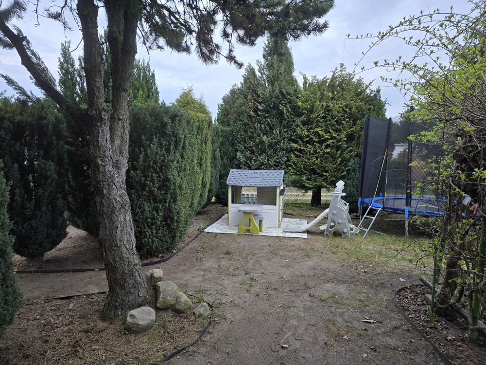 Działka rod Poznań Nowe Miasto, ul. Sypniewo. Zdjęcie 5