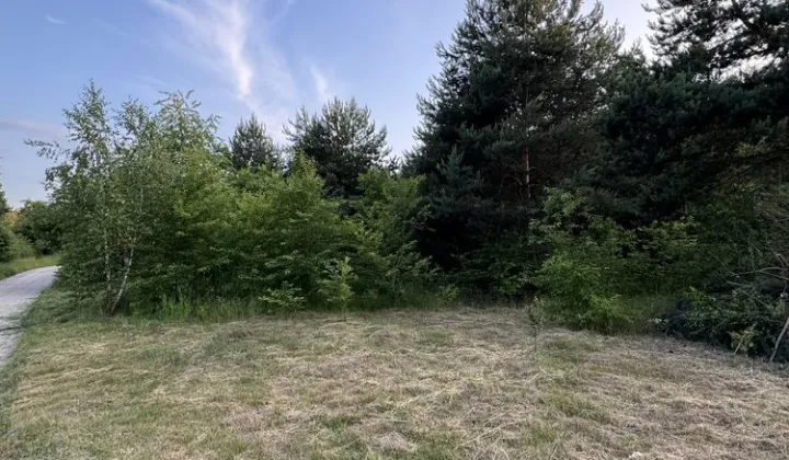 Działka rolna Piotrkowice