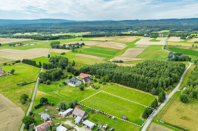 Działka rolna Niwa. Zdjęcie 1