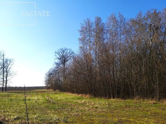 Działka budowlana Mariańskie Porzecze. Zdjęcie 3