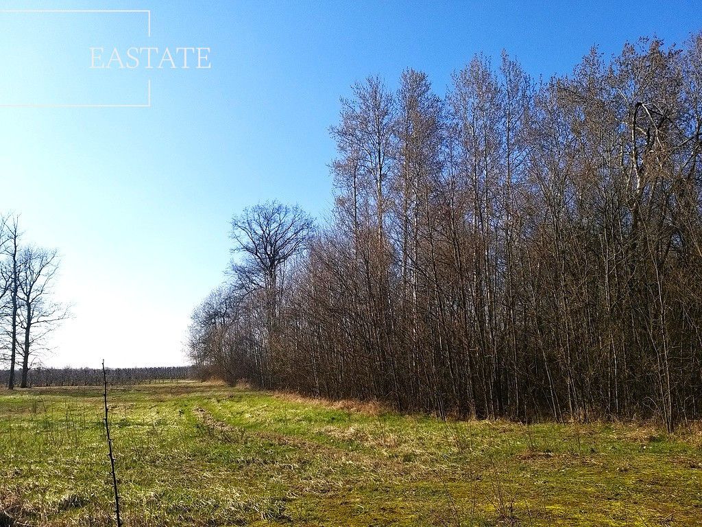 Działka budowlana Mariańskie Porzecze. Zdjęcie 3