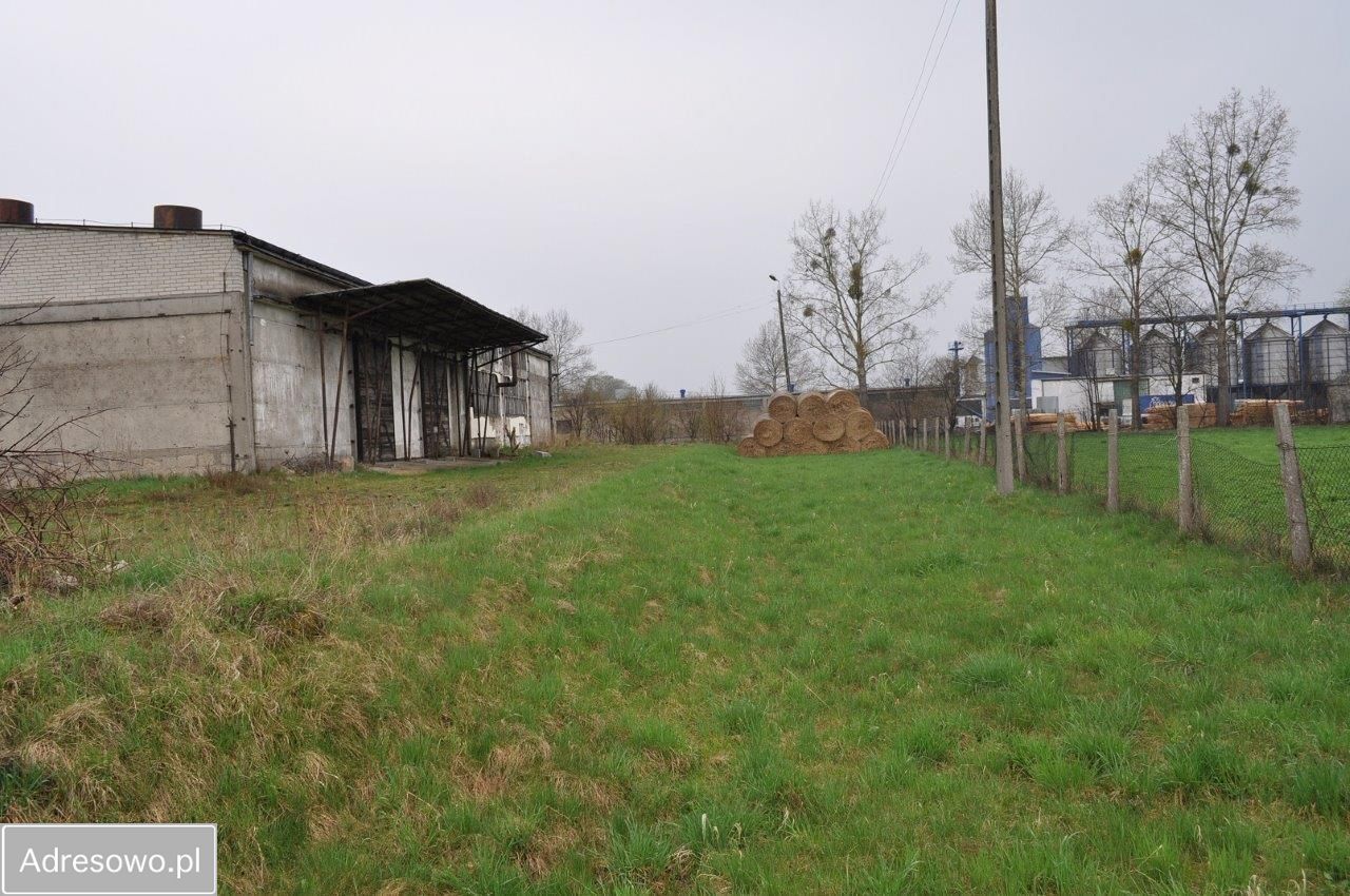 Hala/magazyn Płośnica. Zdjęcie 5