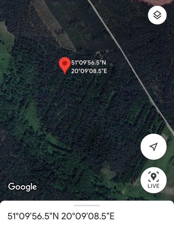 Działka leśna Zbójno. Zdjęcie 5