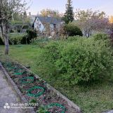 Działka rod Gdynia Chwarzno-Wiczlino. Zdjęcie 2