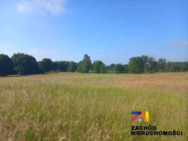 Działka budowlana Droszków. Zdjęcie 3