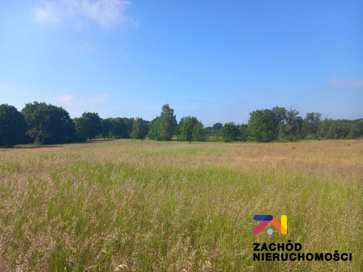 Działka budowlana Droszków. Zdjęcie 3