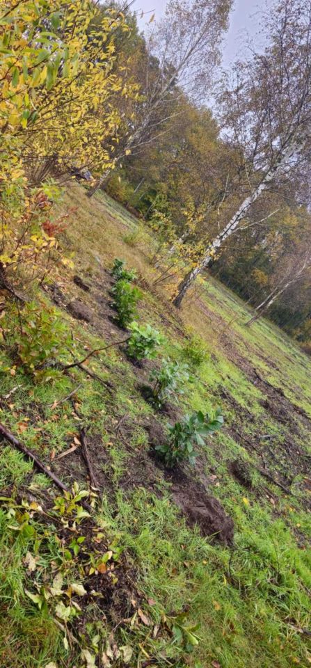 Działka rolna Krępsko. Zdjęcie 4