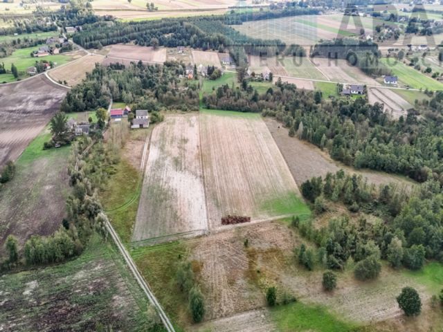 Działka rolna Brzózki. Zdjęcie 4