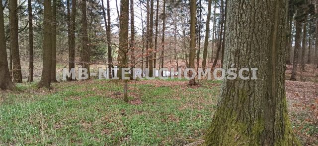 Działka siedliskowa Sętal. Zdjęcie 8