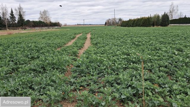Działka budowlana Michałowice. Zdjęcie 1