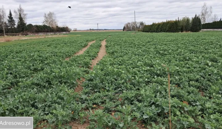 Działka budowlana Michałowice