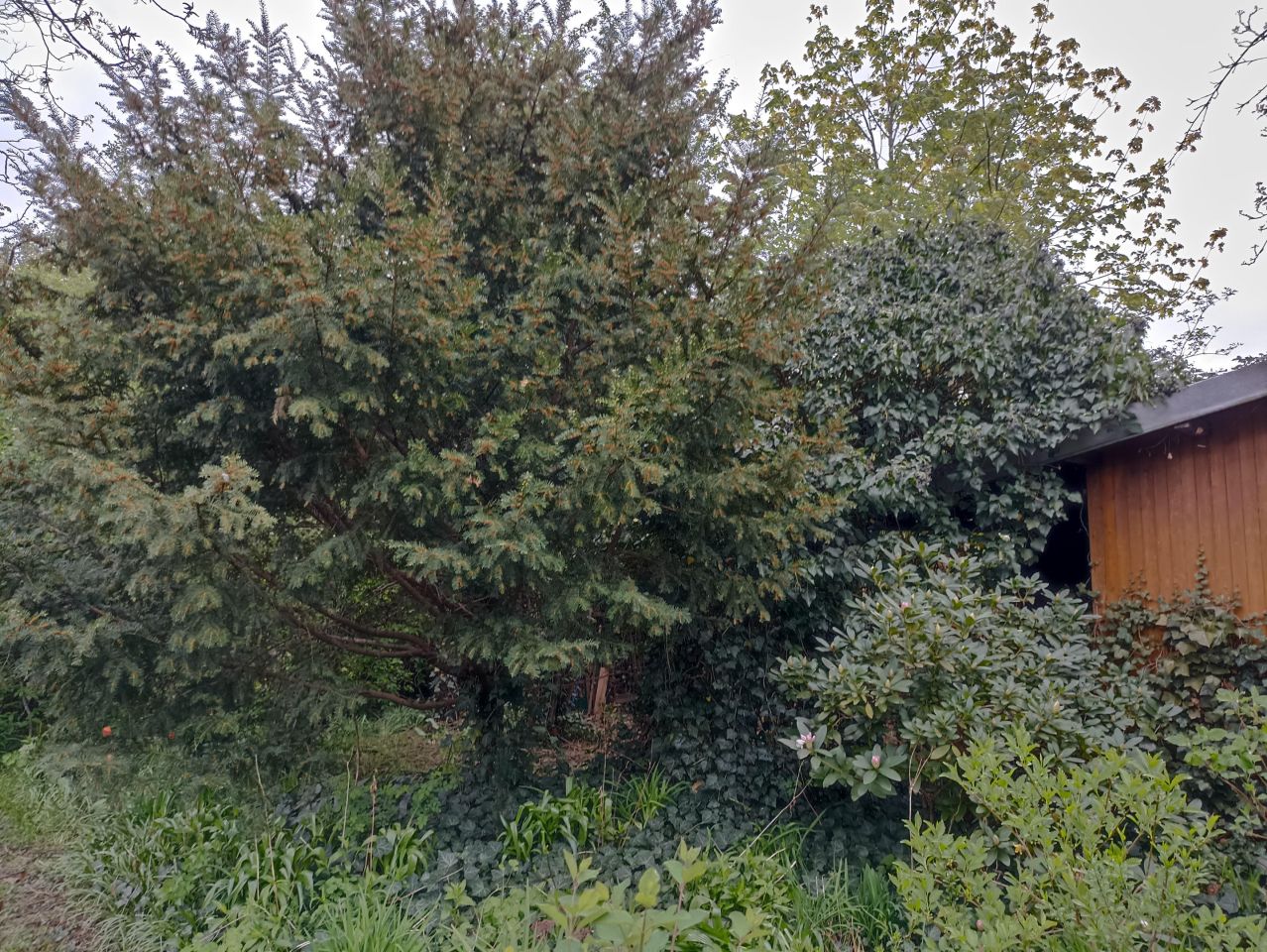 Działka rod Warszawa Mokotów, al. Niepodległości. Zdjęcie 17