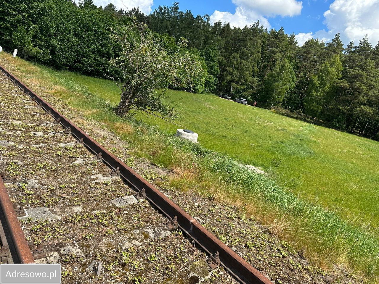 Działka inwestycyjna Dębogórze, ul. Lisia. Zdjęcie 3
