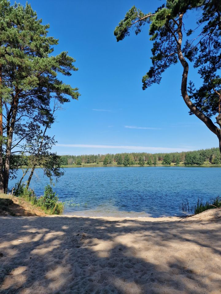 dom wolnostojący, 4 pokoje Bartosze, ul. Leszczynowa Górka. Zdjęcie 38