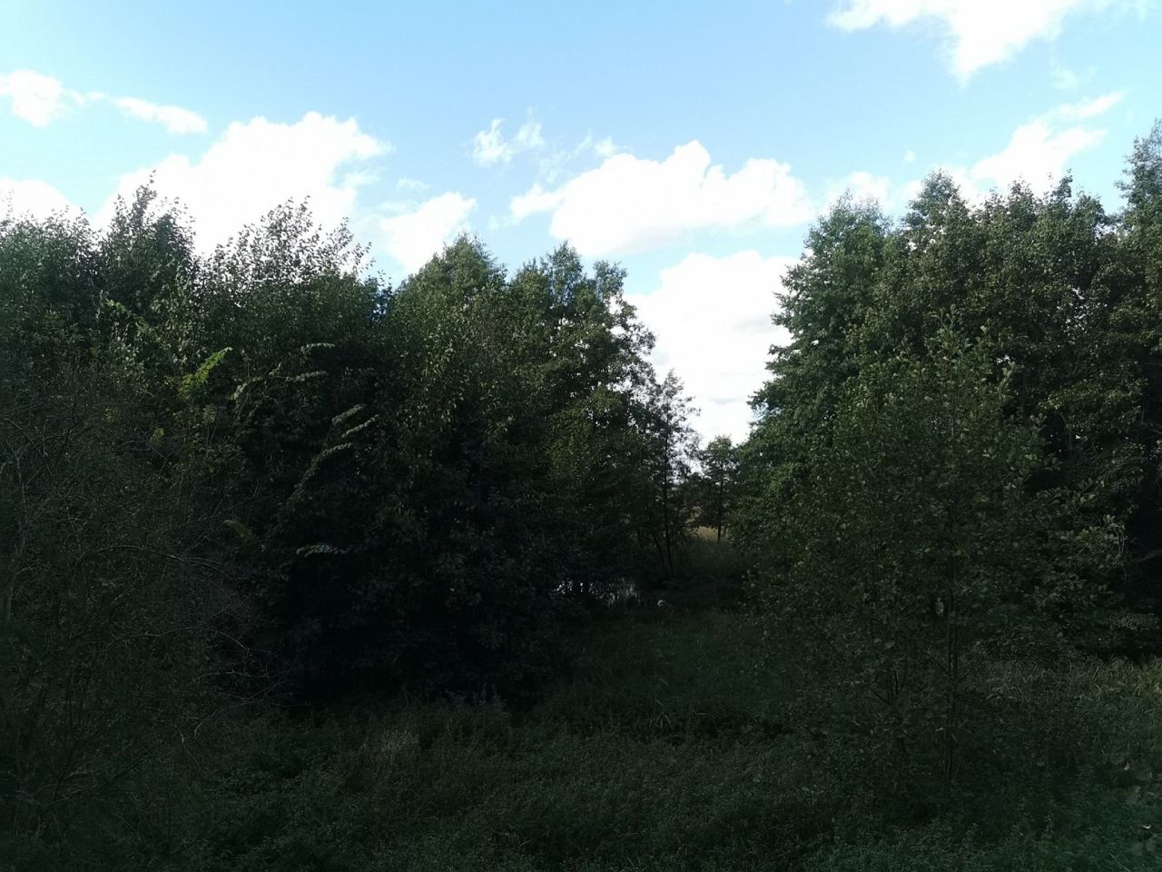 Działka inna Złotów, ul. ks. dr. Bolesława Domańskiego. Zdjęcie 18