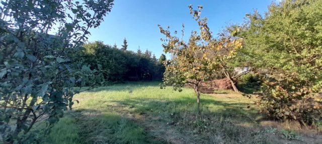 Działka inwestycyjna Maszewo Duże. Zdjęcie 1